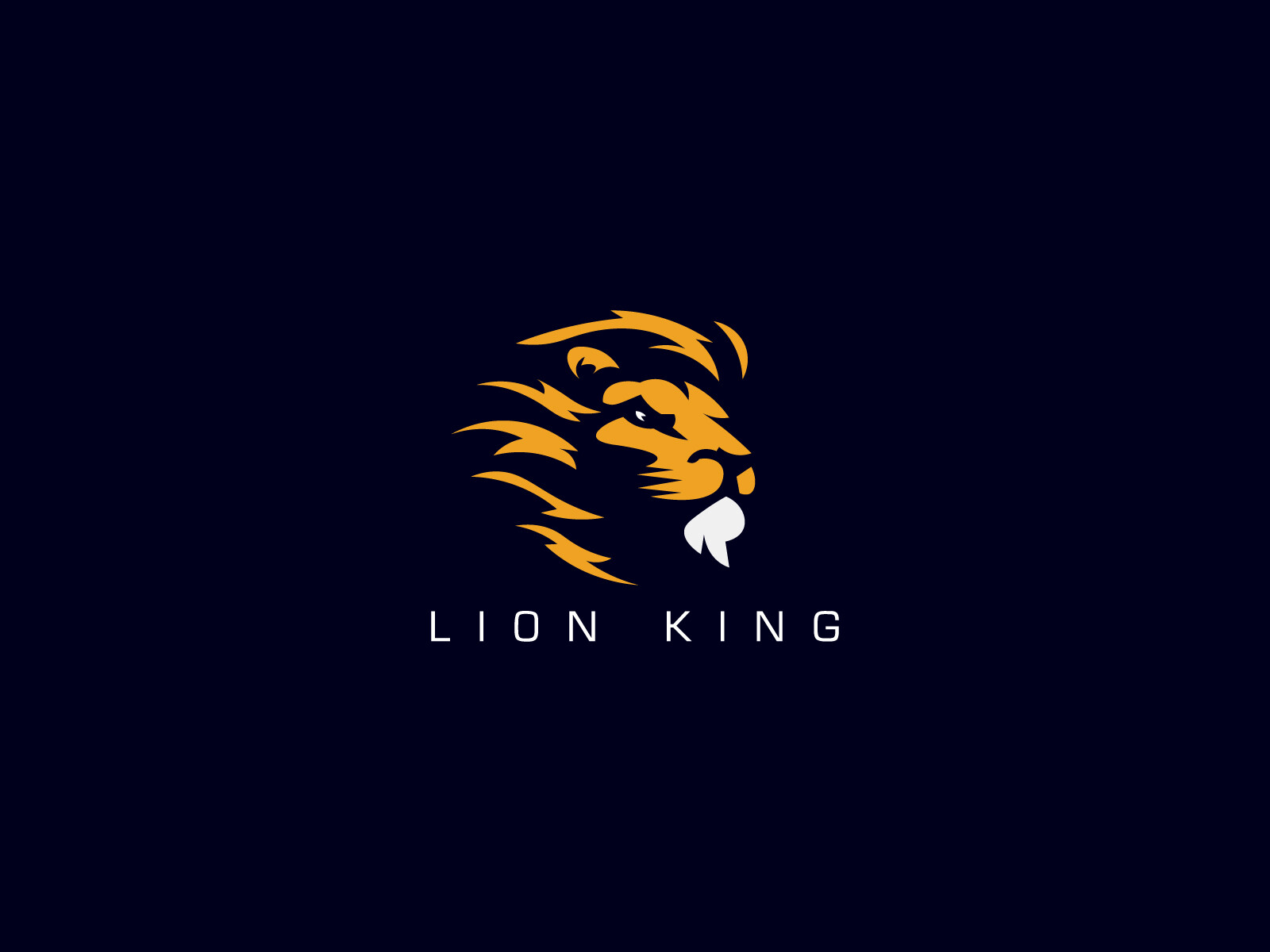 ben-naveed-lion-king