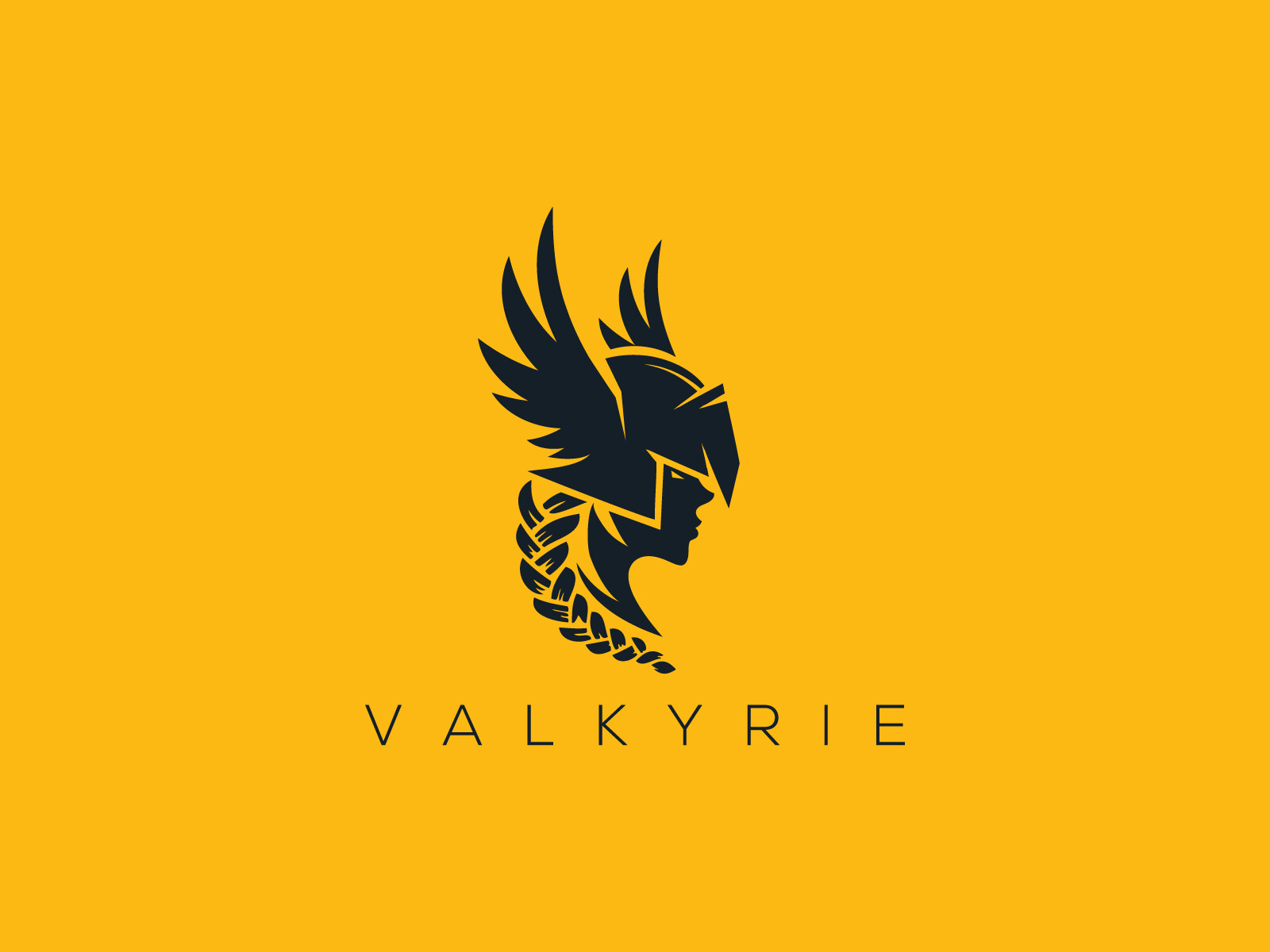 ben-naveed-valkyrie-logo